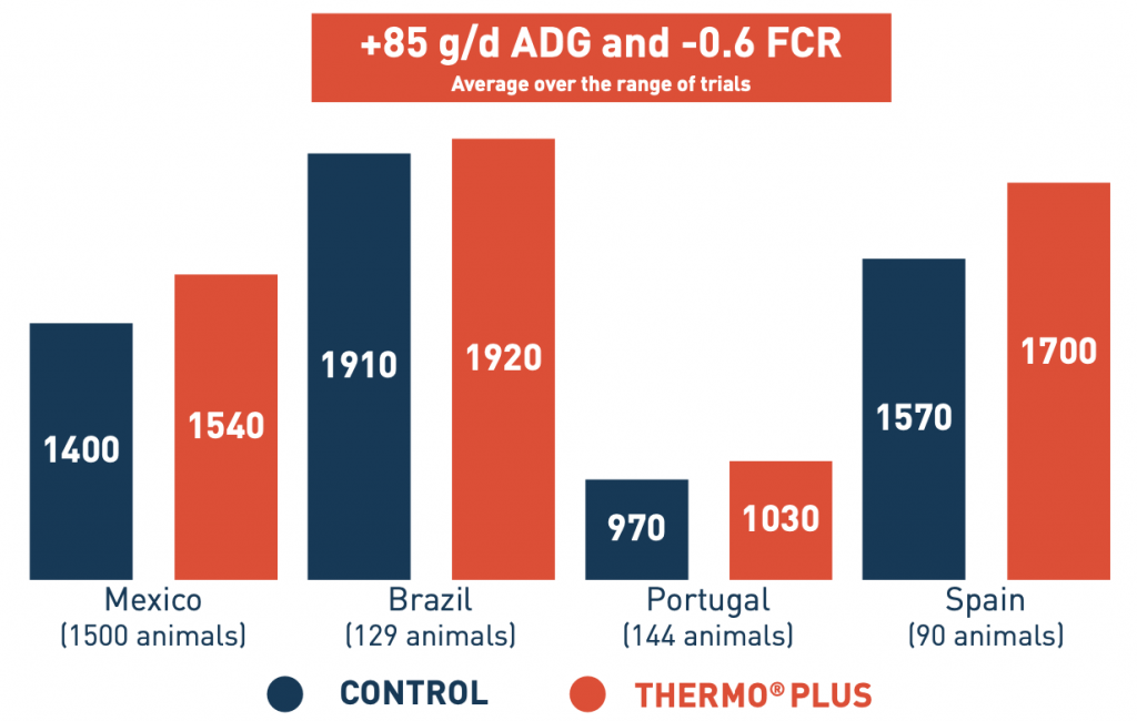 Improvement in growth